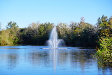 Naklejka premium Beautiful pond in a florida community 