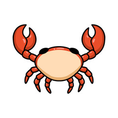 Cute little orange crab cartoon