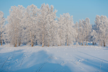 Winter road. Russian nature. Lots of snow all around. Travel in the cold. Winter road through the forest.