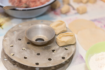 Manti with meat. National traditional food. Dough with meat. Russian food. Manti on a plate. Cook dinner.