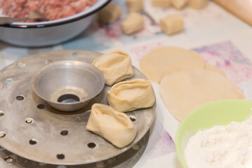 Manti with meat. National traditional food. Dough with meat. Russian food. Manti on a plate. Cook dinner.