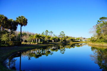 Fototapeta na wymiar Beautiful pond in a florida community 