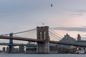 Brooklyn bridge from Manhattan