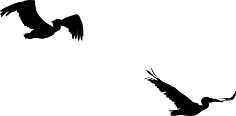 Oiseaux migrateurs volant dans le ciel- vecteur noir avec fond transparent à personnaliser ou utiliser tel quel. 