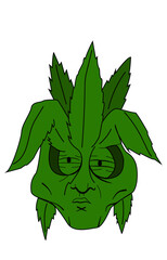 cannabis man illustration green color