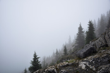 Misty mountain slope with trees