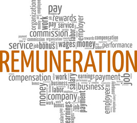 Remuneration conceptual vector illustration word cloud isolated on white background.