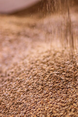 pouring rye flakes. grains