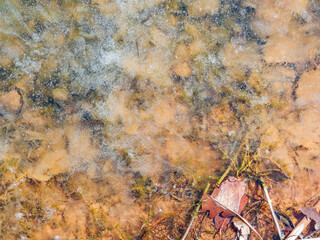 Sunny view of a frozen community pond