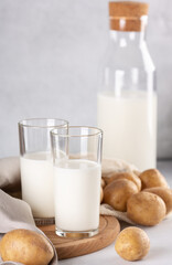 Vegan plant based milk in two transparent glasses and bottle. Alternative potato milk and potato tubers on gray table