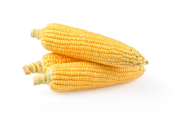 Raw Sweet corn on white background.