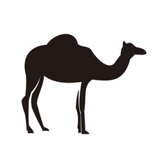 Camel icon vector symbol illustration