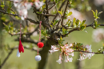 Obraz premium Red and white beautiful martisor hanging on the branches of the blooming tree.