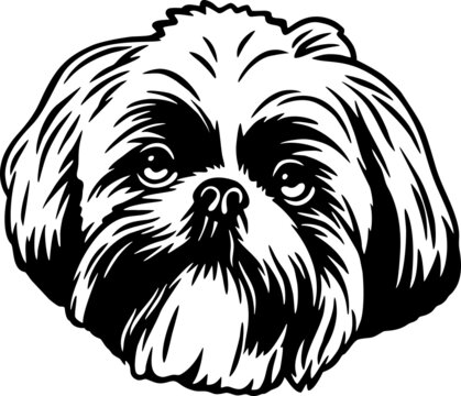 Shih Tzu - Funny Dog, Vector File, Stencil for Tshirt