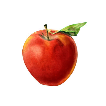 Red ripe apple with leaf. Watercolor illustration isolated on white background.