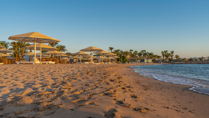 Morning on the Red Sea beach in Egypt. Foam waves and footprints in the sand. Empty sun beds and latticed sun umbrellas. Palm trees against the blue sky.