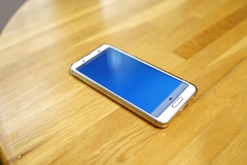 Search on your smartphone at home and schedule a holiday.