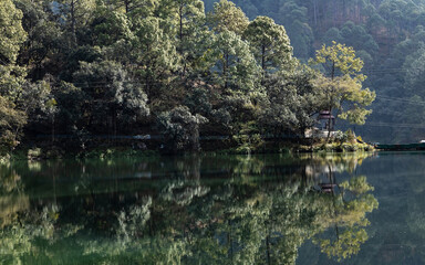 Fototapeta na wymiar View of Reflection of dense trees falling on water of a lake at the foothills of a mountain 