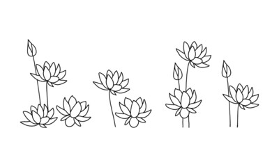 Set. Lotus flowers in doodle style. Drawn with an outline on a white background. Vector illustration.