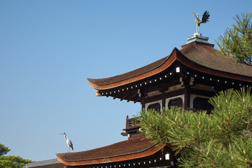 Pavilion of Taihei-kaku (Hashidono) covered bridge in the garden of Heian-jingu Shrine. Kyoto. Japan