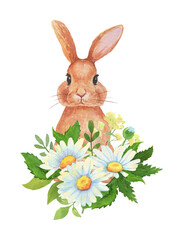 Cute Bunny or rabbit with daisy flowers bouquet. Watercolor spring illustration for Easter holiday greeting or card. Realistic clipart isolated on white background