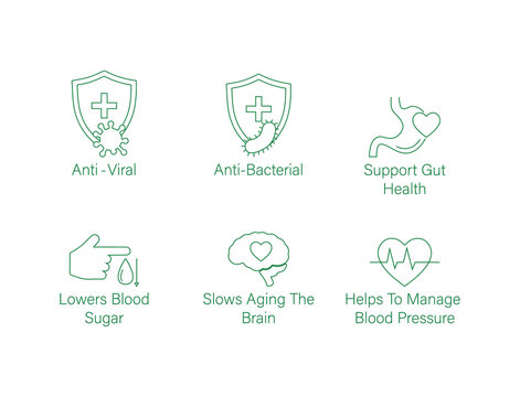 antiviral, anti-bacterial, supports gut health, lowers blood sugar, slow the aging of the brain, helps to manage blood pressure, icon set vector line art