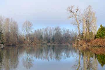 A foggy morning on the Snohomish River in Everett, Washignton.  The barren trees reflect in the calm water with fog in the sky
