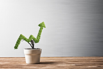 Concept of investment income and growth with tree in pot