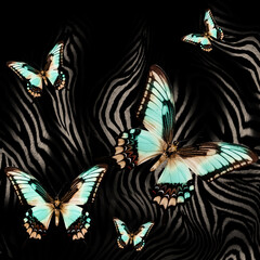 Fototapeta na wymiar Butterfly on zebra skin background for print 