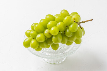 マスカット　Fruit　Muscat of Alexandria