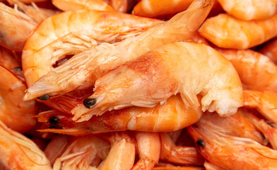 Red shrimps as a background. Close-up