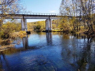 autumn in the Russian forest on the river shore