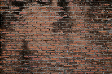 The old red brick wall with green moss is a block texture background for design and decoration.