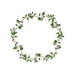 Snowberry branch wreath. Pink and white berries and green leaves. Hand drawn watercolor illustration.