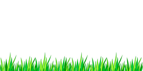 Vector green grass isolated on white background. Herbal Border, horizontal bottom edging, lawn panoramic landscape. Template, design element, illustration