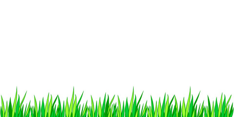 Fototapeta premium Vector green grass isolated on white background. Herbal Border, horizontal bottom edging, lawn panoramic landscape. Template, design element, illustration