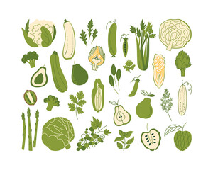 Set of various green vegetables, fruits, herbs in flat style. Vegetable products. Vector illustration with cucumber, pear, asparagus, grape, and other plant food