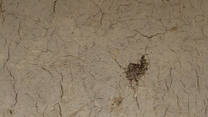 塗り壁の背景素材（漆喰）