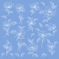 Beautiful flower illustration material collection,