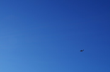 快晴と飛行機