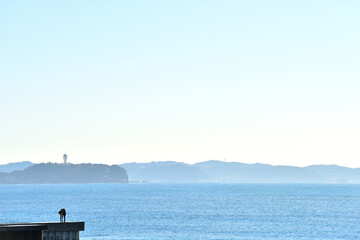 江の島を望む茅ヶ崎サザンビーチ