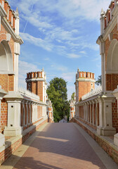Obraz premium Figure bridge in Tsaritsyno
