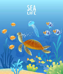 sea world turtle