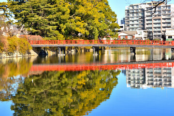 小田原城のお濠に映りこむ赤い学橋