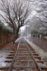 Fototapeta premium 雪景色の寒川一之宮公園緑道