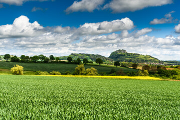 Blick in die Landschaft des Hegau und den Vulkan Hohentwiel, Landkreis Konstanz,...