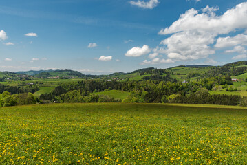 Hügellandschaft im Schwarzwald, Baden-Württemberg, Deutschland