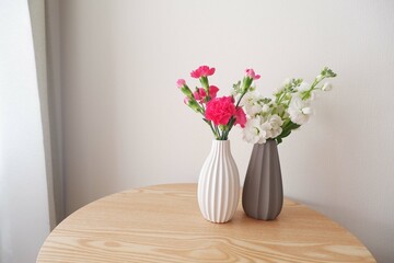 pink carnation in white vase on neutral background. Mother's day, Father's day flower gift image background.