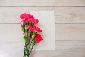 A blank greeting card with carnation flowers and on white wooden background. Mother’s Day, Father’s Day, weeding celebration background.