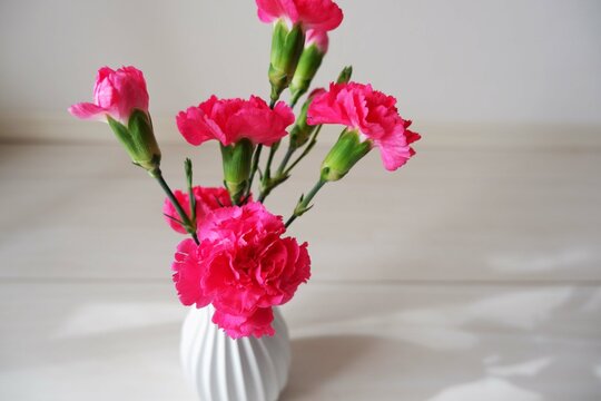 pink carnation in white vase on neutral background. Mother's day, Father's day flower gift image background.
